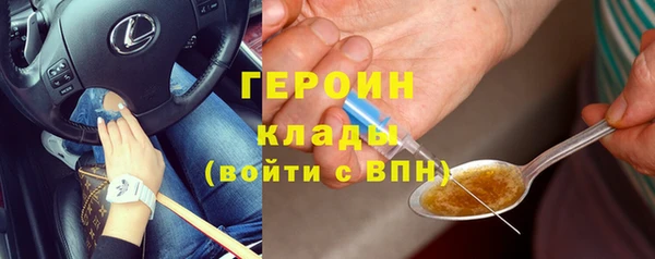 гидра Богородск