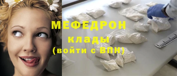 гидра Богородск