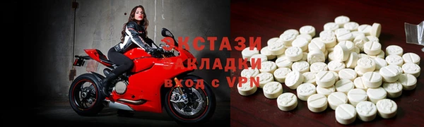 гидра Богородск