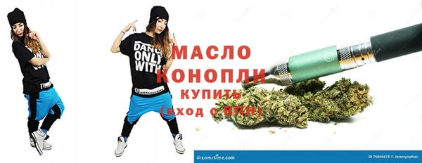 гидра Богородск