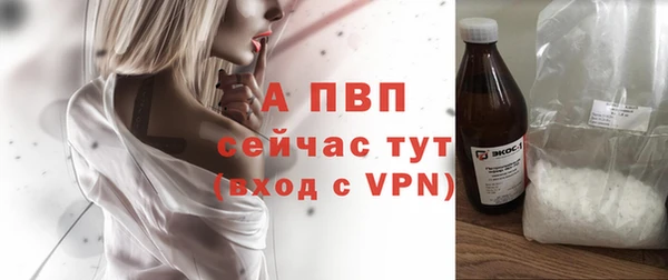 гидра Богородск