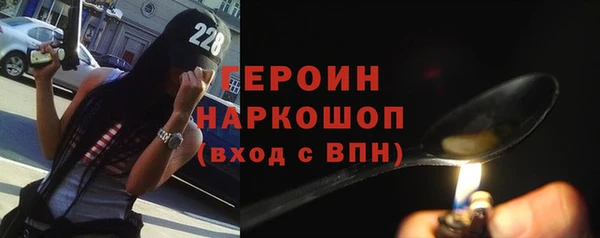 гидра Богородск