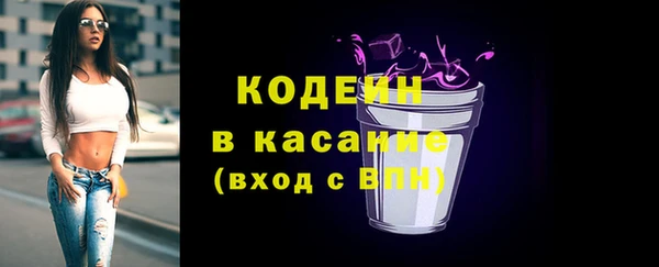 гидра Богородск
