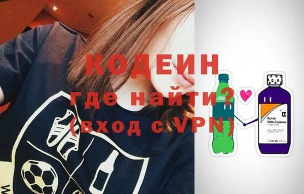 гидра Богородск