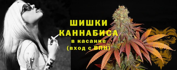 таблы Богданович