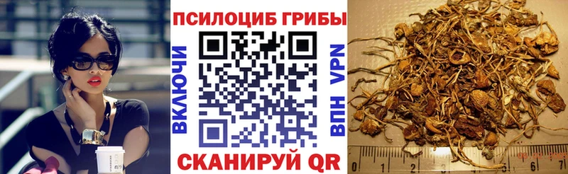 Псилоцибиновые грибы GOLDEN TEACHER  Симферополь 